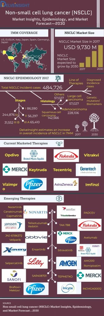 Non-Small Cell Lung Cancer Market